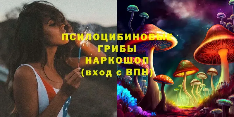 omg ссылки  Богородск  Галлюциногенные грибы Psilocybe 